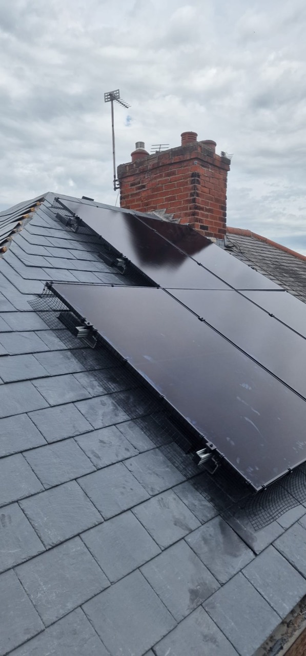 Solar panels on a slate roof with bird guard mesh fitted